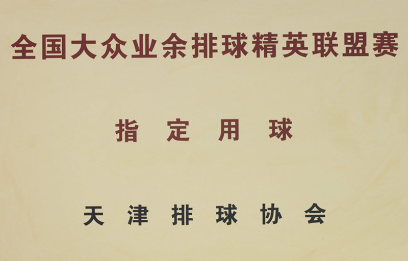 全国大众业余排球精英联盟赛指定用球